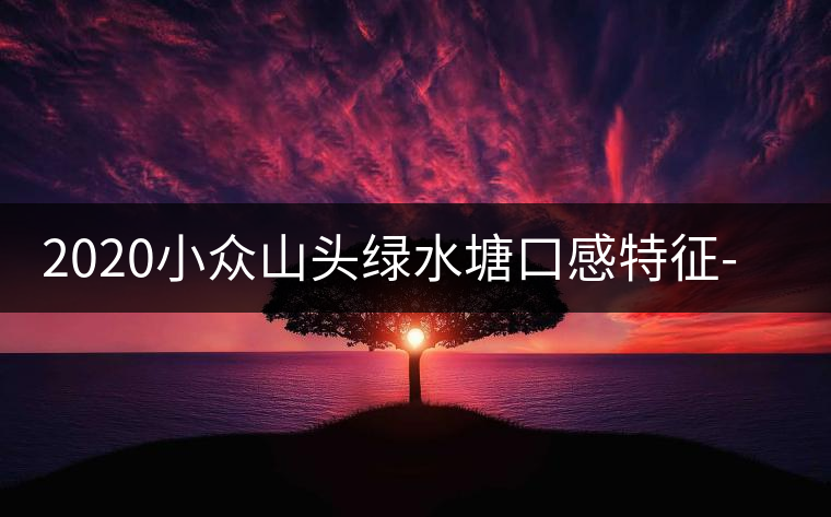 2020小眾山頭綠水塘口感特征-易武中聘號