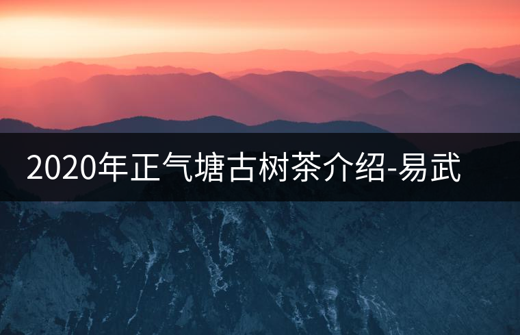 2020年正氣塘古樹茶介紹-易武中聘號(hào) 2020年正氣塘古樹茶介紹-易武中聘號(hào)