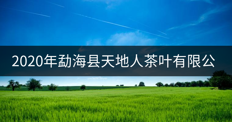 2020年勐??h天地人茶葉有限公司簡介 2020年勐??h天地人茶葉有限公司簡介