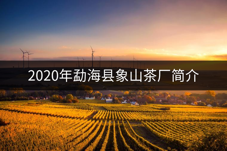 2020年勐??h象山茶廠簡介 2020年勐海縣象山茶廠簡介