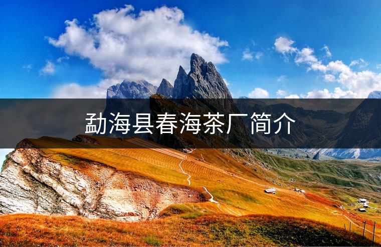 勐?？h春海茶廠簡介