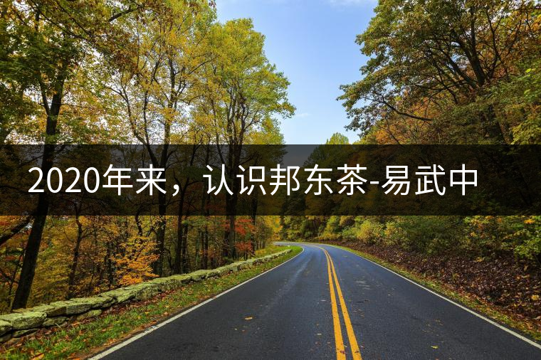 2020年來，認識邦東茶-易武中聘號