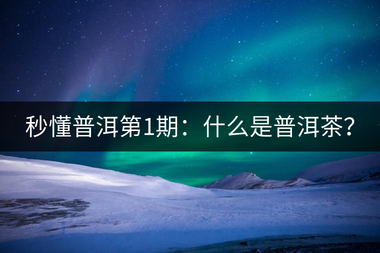 秒懂普洱第1期：什么是普洱茶？