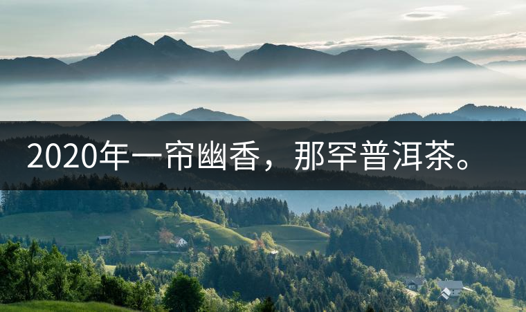 2020年一簾幽香，那罕普洱茶。-易武中聘號