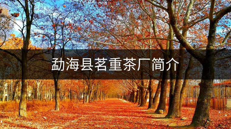 勐?？h茗重茶廠簡介
