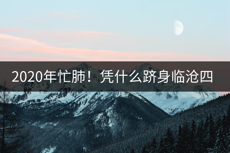 2020年忙肺!憑什么躋身臨滄四大名茶-易武中聘號 2020年忙肺!憑什么躋身臨滄四大名茶-易武中聘號