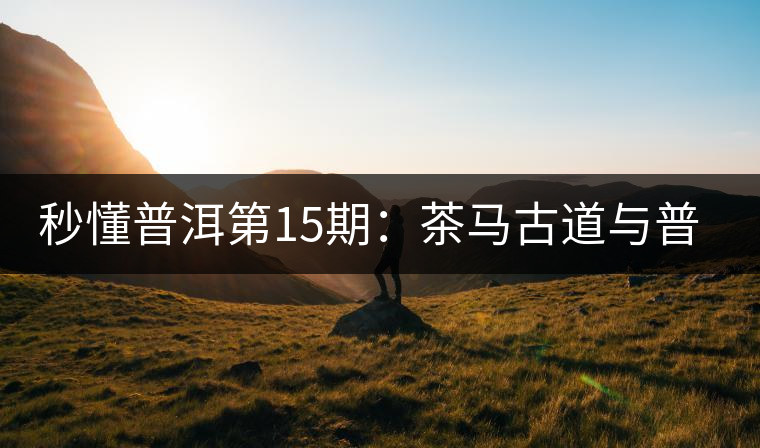 秒懂普洱第15期：茶馬古道與普洱茶有什么聯(lián)系？