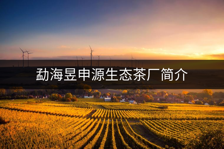 勐海昱申源生態(tài)茶廠簡介