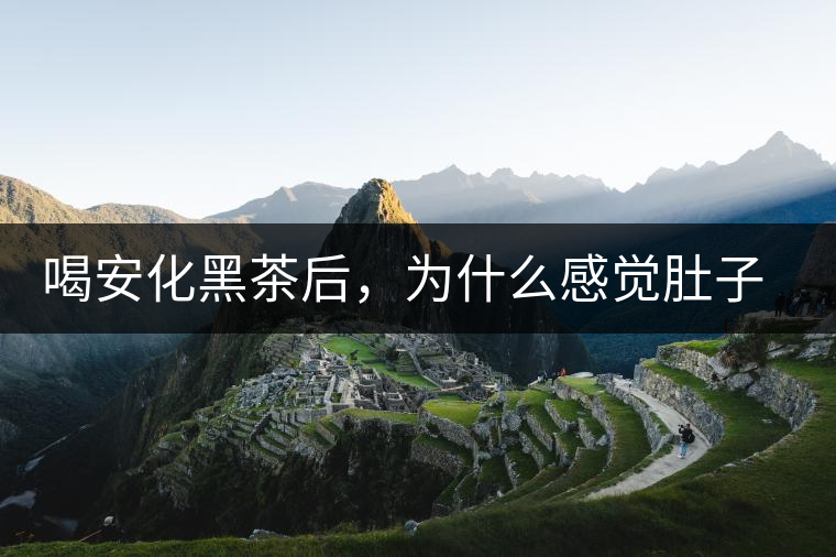 喝安化黑茶后，為什么感覺肚子餓的快？