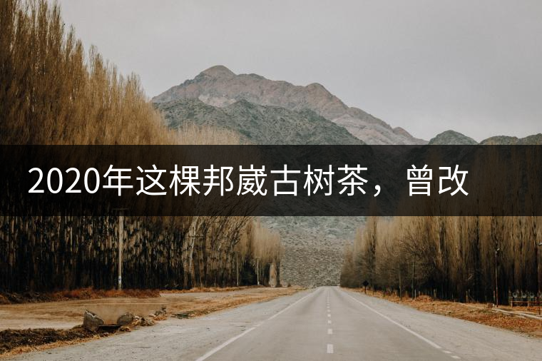 2020年這棵邦崴古樹茶，曾改寫普洱茶歷史！-易武中聘號