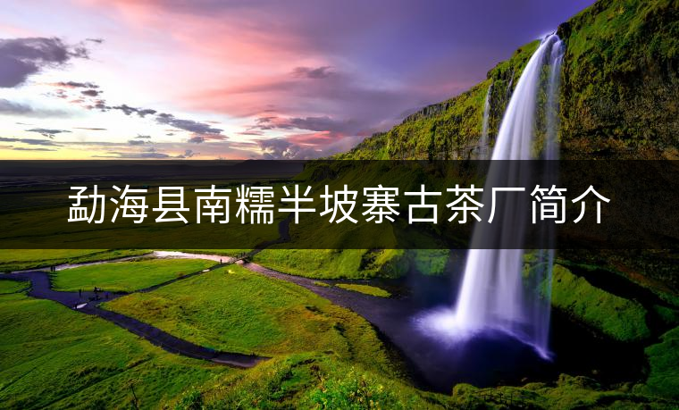 勐?？h南糯半坡寨古茶廠簡介