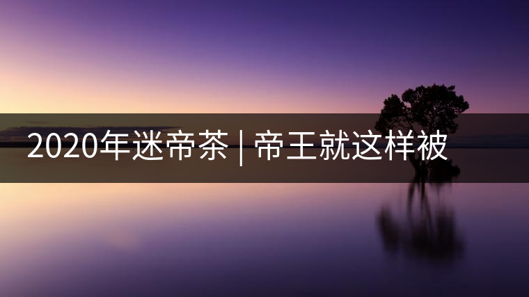 2020年迷帝茶 | 帝王就這樣被迷住了？-易武中聘號(hào)