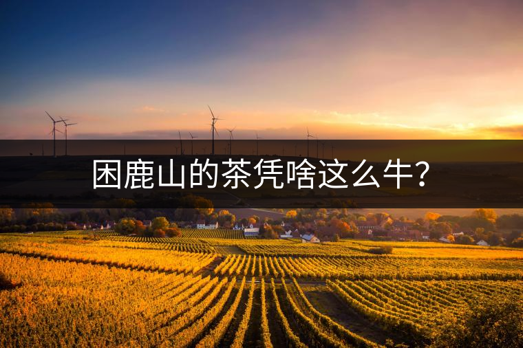 困鹿山的茶憑啥這么牛？