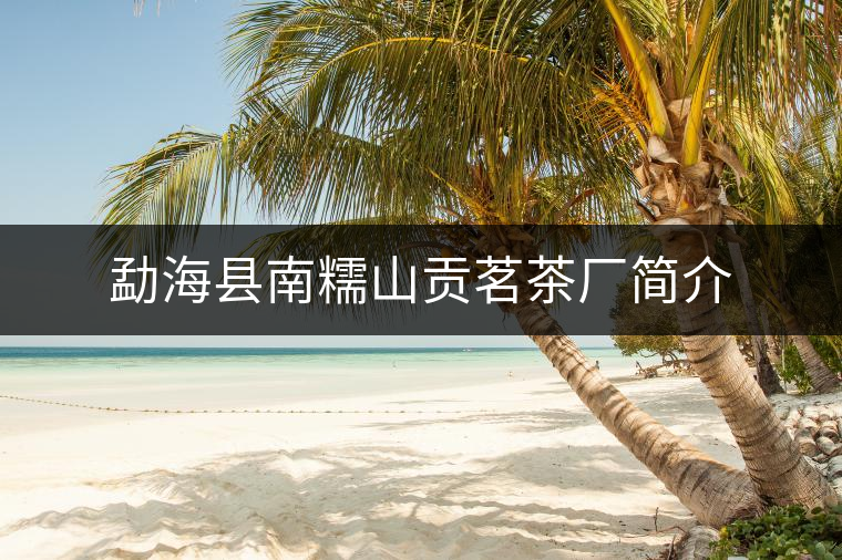 勐??h南糯山貢茗茶廠簡(jiǎn)介 勐??h南糯山貢茗茶廠簡(jiǎn)介