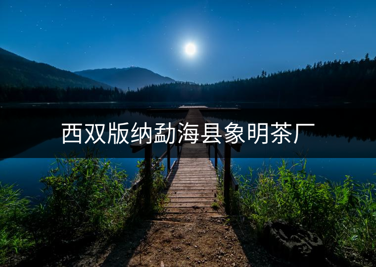 西雙版納勐?？h象明茶廠