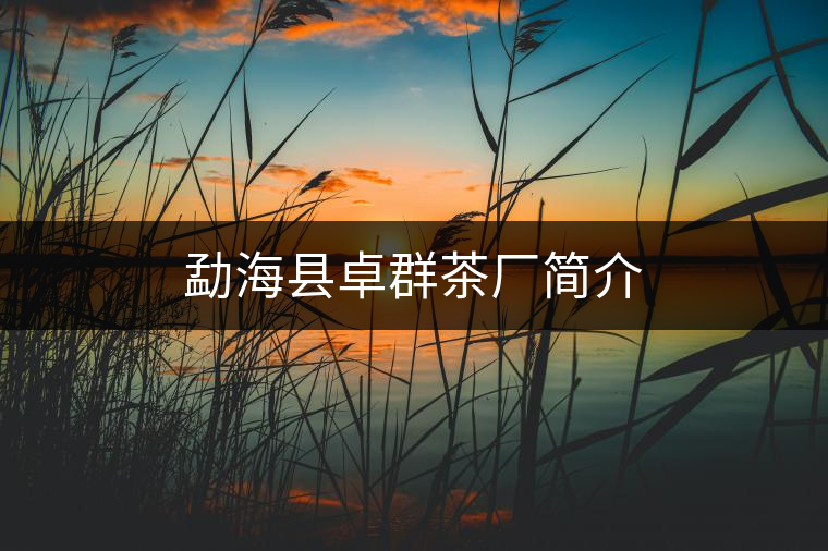 勐海縣卓群茶廠簡(jiǎn)介 勐海縣卓群茶廠簡(jiǎn)介
