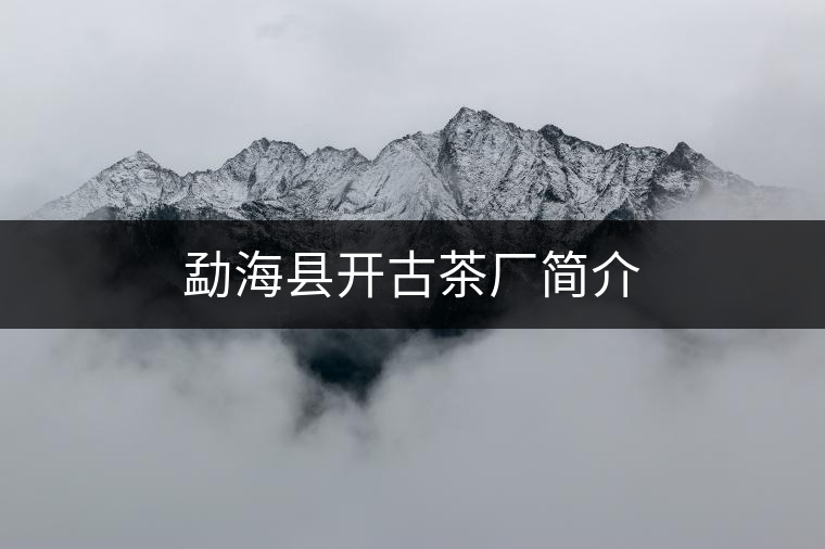 勐?？h開(kāi)古茶廠簡(jiǎn)介