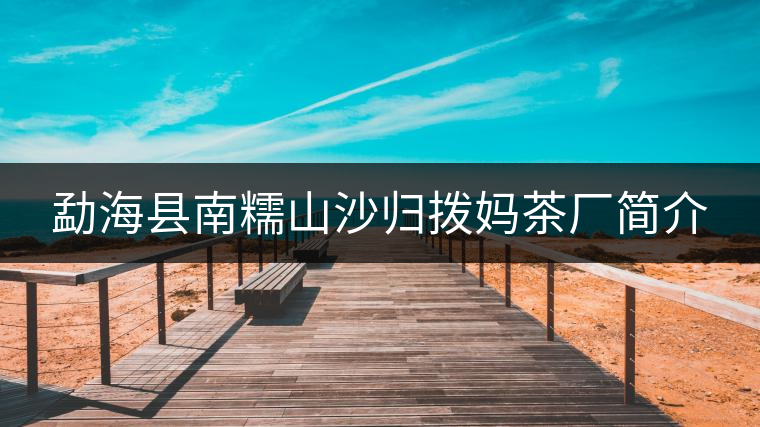 勐?？h南糯山沙歸撥媽茶廠簡(jiǎn)介