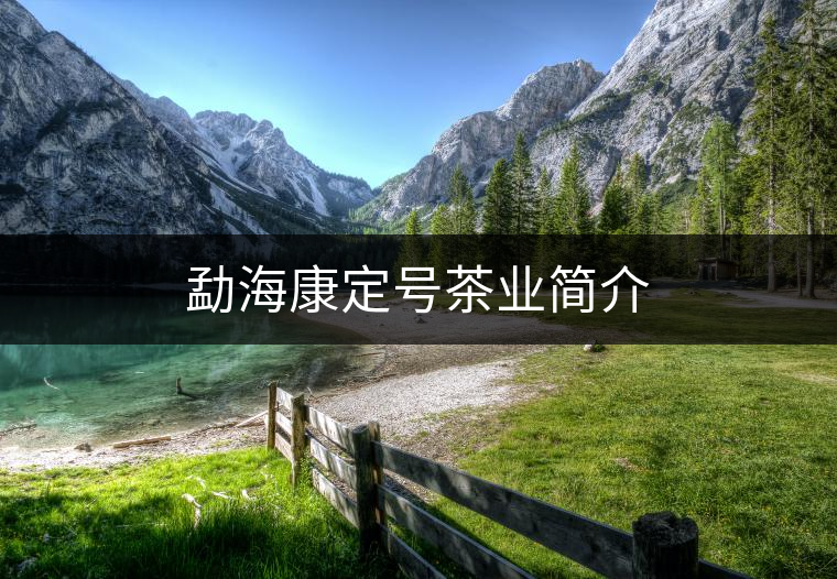 勐海康定號茶業(yè)簡介 勐??刀ㄌ柌铇I(yè)簡介
