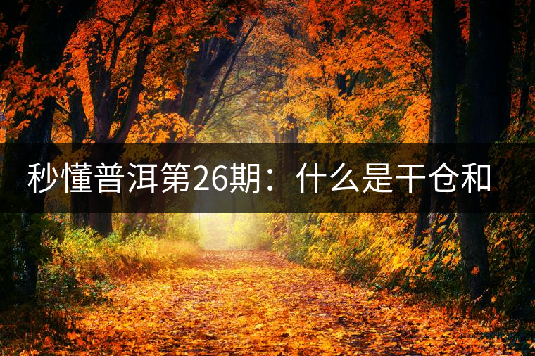 秒懂普洱第26期：什么是干倉和濕倉？