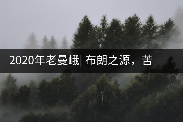 2020年老曼峨| 布朗之源，苦盡甘來，大道至簡(jiǎn)！-易武中聘號(hào)