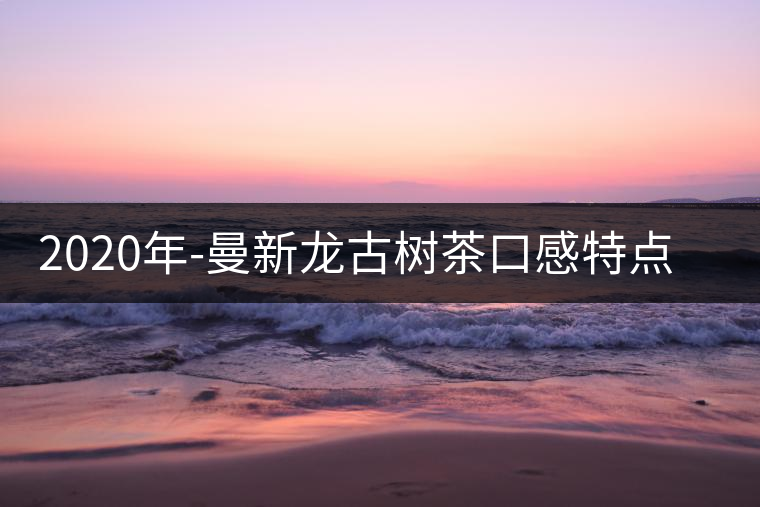 2020年-曼新龍古樹(shù)茶口感特點(diǎn)-易武中聘號(hào)