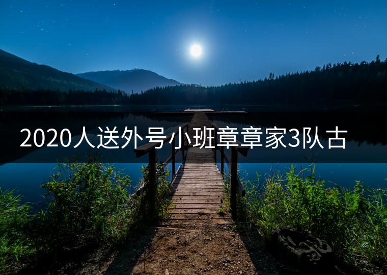 2020人送外號(hào)小班章章家3隊(duì)古樹茶-易武中聘號(hào) 2020人送外號(hào)小班章章家3隊(duì)古樹茶-易武中聘號(hào)