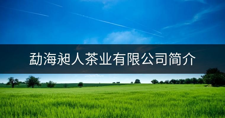 勐海昶人茶業(yè)有限公司簡介 勐海昶人茶業(yè)有限公司簡介