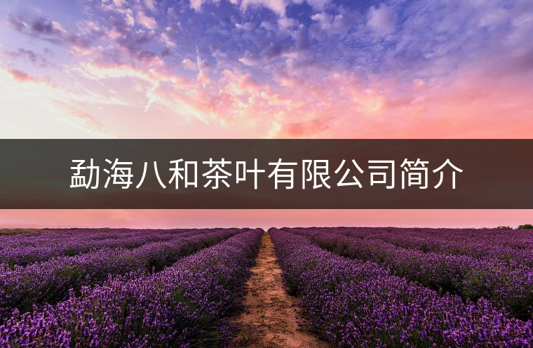 勐海八和茶葉有限公司簡(jiǎn)介