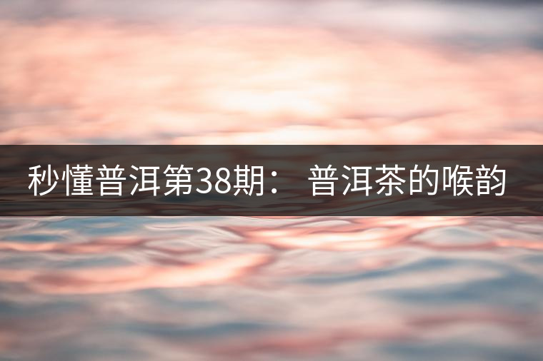 秒懂普洱第38期： 普洱茶的喉韻是什么？