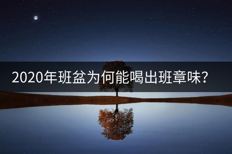 2020年班盆為何能喝出班章味？-易武中聘號(hào)