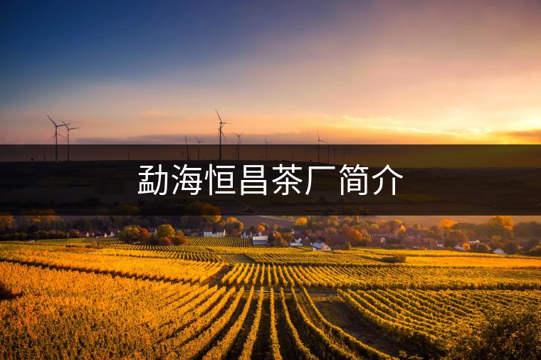 勐海恒昌茶廠簡介 勐海恒昌茶廠簡介