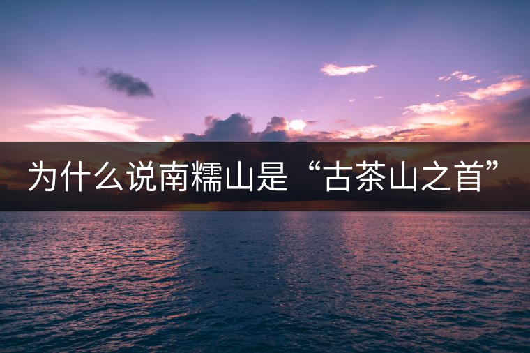 為什么說(shuō)南糯山是“古茶山之首”? 為什么說(shuō)南糯山是“古茶山之首”?