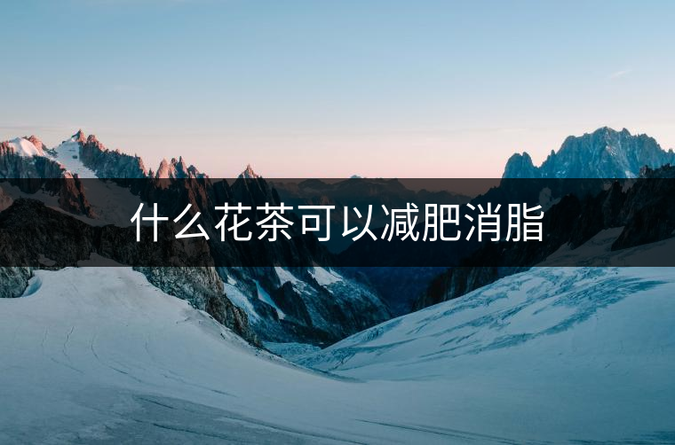 什么花茶可以減肥消脂 什么花茶可以減肥消脂
