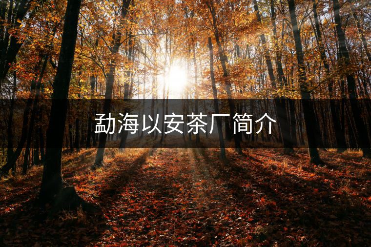 勐海以安茶廠(chǎng)簡(jiǎn)介 勐海以安茶廠(chǎng)簡(jiǎn)介