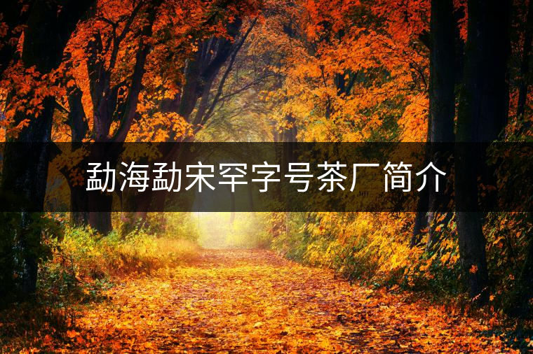 勐海勐宋罕字號茶廠簡介 勐海勐宋罕字號茶廠簡介