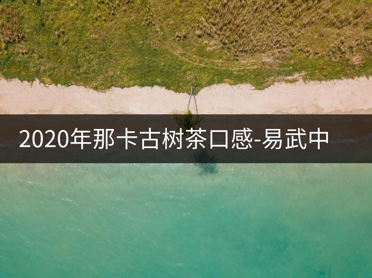 2020年那卡古樹茶口感-易武中聘號 2020年那卡古樹茶口感-易武中聘號