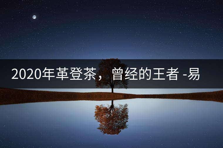 2020年革登茶，曾經(jīng)的王者 -易武中聘號