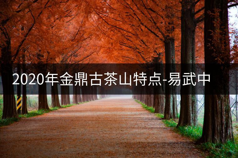 2020年金鼎古茶山特點-易武中聘號 2020年金鼎古茶山特點-易武中聘號