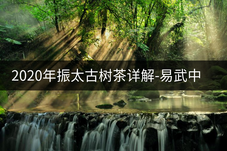 2020年振太古樹茶詳解-易武中聘號 2020年振太古樹茶詳解-易武中聘號
