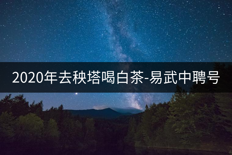 2020年去秧塔喝白茶-易武中聘號 2020年去秧塔喝白茶-易武中聘號