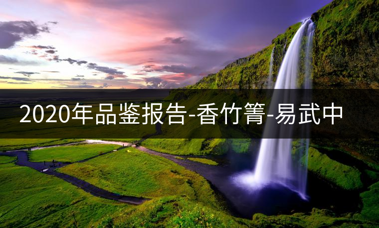 2020年品鑒報(bào)告-香竹箐-易武中聘號(hào) 2020年品鑒報(bào)告-香竹箐-易武中聘號(hào)