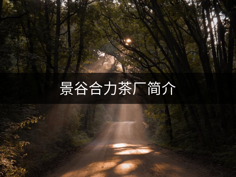 景谷合力茶廠簡介