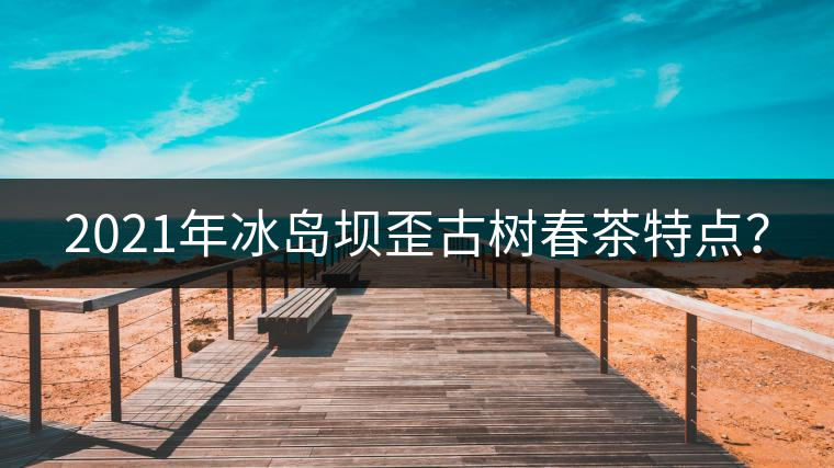 2021年冰島壩歪古樹(shù)春茶特點(diǎn)？