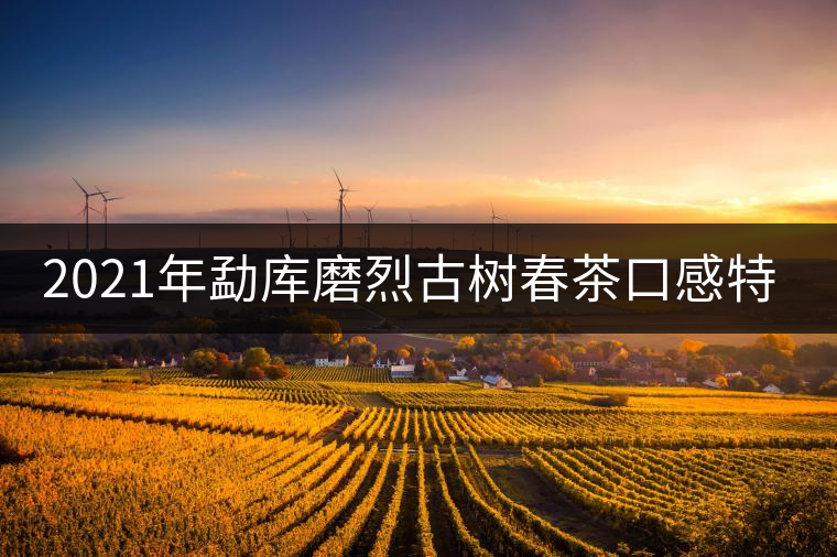 2021年勐庫磨烈古樹春茶口感特點(diǎn)是什么？