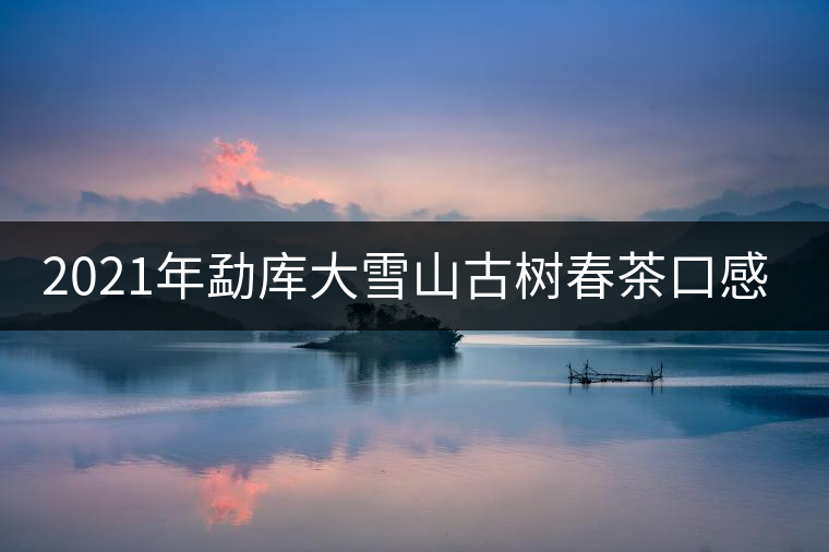 2021年勐庫(kù)大雪山古樹(shù)春茶口感特點(diǎn)? 2021年勐庫(kù)大雪山古樹(shù)春茶口感特點(diǎn)?