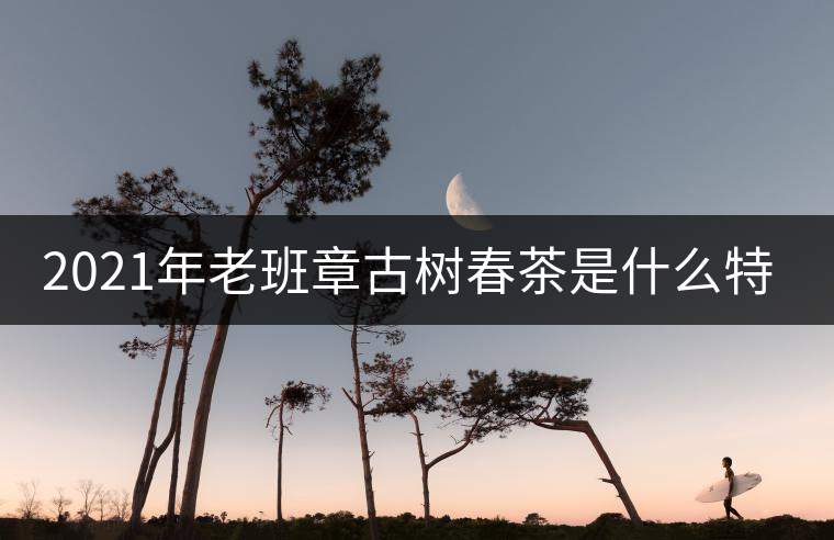2021年老班章古樹春茶是什么特點(diǎn)？