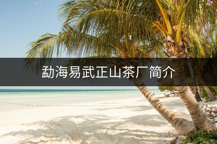 勐海易武正山茶廠簡(jiǎn)介