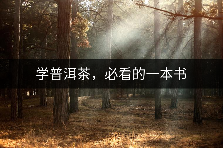 學(xué)普洱茶，必看的一本書(shū)