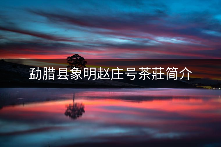 勐臘縣象明趙莊號(hào)茶莊簡(jiǎn)介